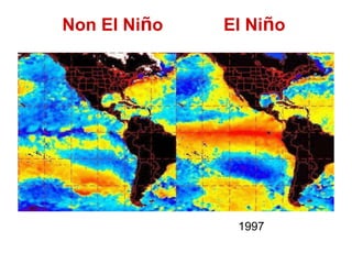 Non El Niño   El Niño




               1997
 