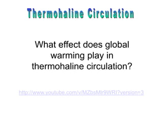 What effect does global
        warming play in
    thermohaline circulation?

http://www.youtube.com/v/MZbsMlr9WRI?version=3
 