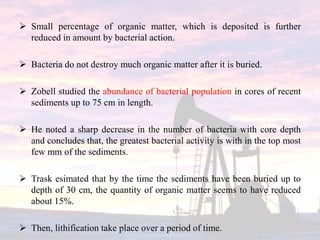  Small percentage of organic matter, which is deposited is further
reduced in amount by bacterial action.
 Bacteria do not destroy much organic matter after it is buried.
 Zobell studied the abundance of bacterial population in cores of recent
sediments up to 75 cm in length.
 He noted a sharp decrease in the number of bacteria with core depth
and concludes that, the greatest bacterial activity is with in the top most
few mm of the sediments.
 Trask esimated that by the time the sediments have been buried up to
depth of 30 cm, the quantity of organic matter seems to have reduced
about 15%.
 Then, lithification take place over a period of time.
 