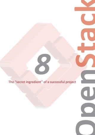 The “secret ingredient” of a successful project
8
 