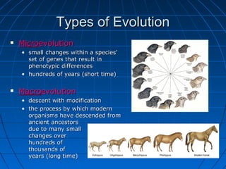 Types of Evolution
   Microevolution
    • small changes within a species'
      set of genes that result in
      phenotypic differences
    • hundreds of years (short time)

   Macroevolution
    • descent with modification
    • the process by which modern
      organisms have descended from
      ancient ancestors
      due to many small
      changes over
      hundreds of
      thousands of
      years (long time)
 