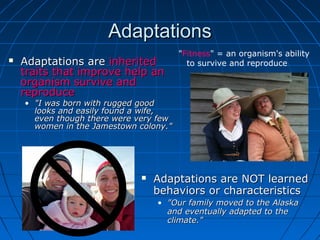 Adaptations
                                        "Fitness" = an organism's ability
   Adaptations are inherited             to survive and reproduce
    traits that improve help an
    organism survive and
    reproduce
    • "I was born with rugged good
      looks and easily found a wife,
      even though there were very few
      women in the Jamestown colony."




                                 Adaptations are NOT learned
                                  behaviors or characteristics
                                  • "Our family moved to the Alaska
                                    and eventually adapted to the
                                    climate."
 