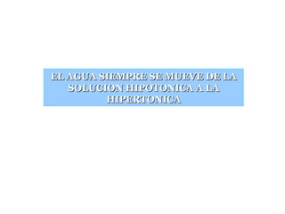 EL AGUA SIEMPRE SE MUEVE DE LA SOLUCION HIPOTONICA A LA HIPERTONICA 