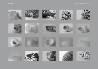 PansakChin B&W Photography 18Seashell
 