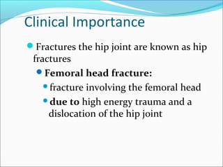 Clinical Importance
Fractures the hip joint are known as hip
fractures
Femoral head fracture:
fracture involving the femoral head
due to high energy trauma and a
dislocation of the hip joint
 