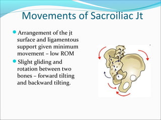 Movements of Sacroiliac Jt
Arrangement of the jt
surface and ligamentous
support given minimum
movement – low ROM
Slight gliding and
rotation between two
bones – forward tilting
and backward tilting.
 