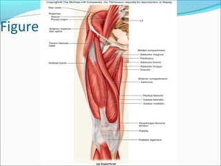 Figure 10.35a
 