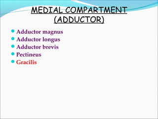 MEDIAL COMPARTMENT
(ADDUCTOR)
Adductor magnus
Adductor longus
Adductor brevis
Pectineus
Gracilis
 