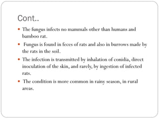 Cont..
 The fungus infects no mammals other than humans and
bamboo rat.
 Fungus is found in feces of rats and also in burrows made by
the rats in the soil.
 The infection is transmitted by inhalation of conidia, direct
inoculation of the skin, and rarely, by ingestion of infected
rats.
 The condition is more common in rainy season, in rural
areas.
 