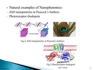  Natural examples of Nanophotonics-
• ZnO nanoparticles in Peacock’s feathers
• Photoreceptor rhodopsin
Fig.2. ZnO nanoparticles in Peacock’s feathers
Fig.3 Photoreceptor rhodopsin
11 May 2015
8ANKIT PANDEY
 