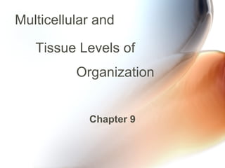 Multicellular and  Chapter 9 Tissue Levels of  Organization 