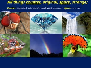 All things counter, original, spare, strange;
Counter: opposite ( as in counter clockwise), unusual - Spare: rare; not
common

 