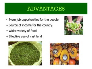 ADVANTAGES More job opportunities for the people Source of income for the country Wider variety of food Effective use of vast land 