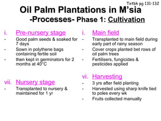 Oil Palm Plantations in M’sia -Processes-  Phase 1:  Cultivation Pre-nursery stage Good palm seeds & soaked for 7 days  Sown in polythene bags containing fertile soil  then kept in germinators for 2 months at 40°C Nursery stage Transplanted to nursery & maintained for 1 yr Main field Transplanted to main field during early part of rainy season Cover crops planted bet rows of oil palm trees Fertilisers, fungicides & pesticides applied Harvesting 3 yrs after field planting Harvested using sharp knife tied to poles every wk Fruits collected manually Txtbk pg 131-132 