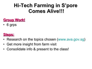 Hi-Tech Farming in S’pore  Comes Alive!!! Group Work! 6 grps  Steps: Research on the topics chosen ( www.ava.gov.sg ) Get more insight from farm visit Consolidate info & present to the class! 