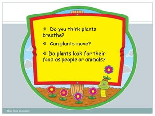  Do you think plants
breathe?
 Can plants move?
 Do plants look for their
food as people or animals?
Miss Nora González
 