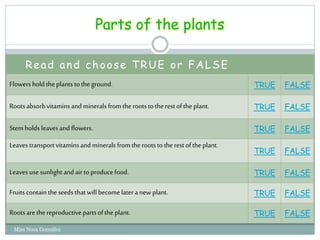 Miss Nora González
Parts of the plants
Read and choose TRUE or FALSE
Flowersholdtheplantstotheground. TRUE FALSE
Rootsabsorbvitaminsandminerals fromtherootstotherestoftheplant. TRUE FALSE
Stemholds leavesandflowers. TRUE FALSE
Leavestransportvitaminsandminerals fromtherootstotherestoftheplant.
TRUE FALSE
Leavesusesunlight andair toproducefood. TRUE FALSE
Fruitscontaintheseedsthatwill becomelateranew plant. TRUE FALSE
Rootsarethereproductivepartsofthe plant. TRUE FALSE
 