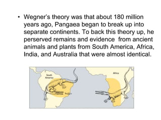 • Wegner’s theory was that about 180 million
years ago, Pangaea began to break up into
separate continents. To back this theory up, he
perserved remains and evidence from ancient
animals and plants from South America, Africa,
India, and Australia that were almost identical.
 