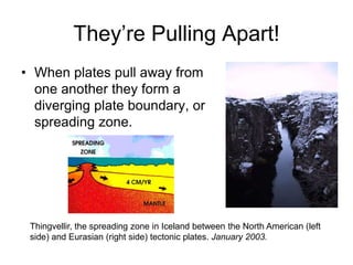 They’re Pulling Apart!
• When plates pull away from
one another they form a
diverging plate boundary, or
spreading zone.
Thingvellir, the spreading zone in Iceland between the North American (left
side) and Eurasian (right side) tectonic plates. January 2003.
 