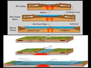 Plate tectonics