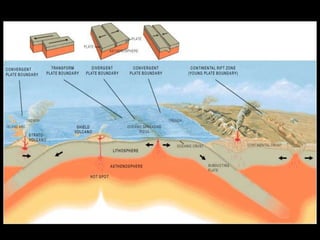 Plate tectonics