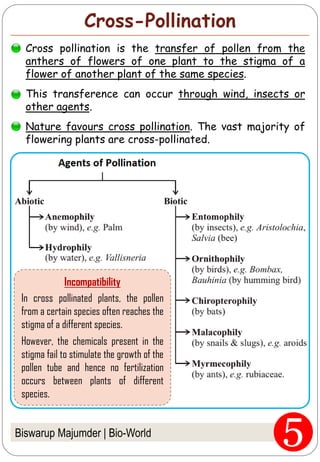 Cross-Pollination
Biswarup Majumder | Bio-World
Cross pollination is the transfer of pollen from the
anthers of flowers of one plant to the stigma of a
flower of another plant of the same species.
This transference can occur through wind, insects or
other agents.
Nature favours cross pollination. The vast majority of
flowering plants are cross-pollinated.
Incompatibility
In cross pollinated plants, the pollen
from a certain species often reaches the
stigma of a different species.
However, the chemicals present in the
stigma fail to stimulate the growth of the
pollen tube and hence no fertilization
occurs between plants of different
species.
 