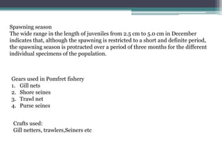 Spawning season
The wide range in the length of juveniles from 2.5 cm to 5.0 cm in December
indicates that, although the spawning is restricted to a short and definite period,
the spawning season is protracted over a period of three months for the different
individual specimens of the population.
Gears used in Pomfret fishery
1. Gill nets
2. Shore seines
3. Trawl net
4. Purse seines
Crafts used:
Gill netters, trawlers,Seiners etc
 