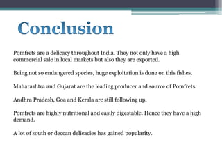 Pomfrets are a delicacy throughout India. They not only have a high
commercial sale in local markets but also they are exported.
Being not so endangered species, huge exploitation is done on this fishes.
Maharashtra and Gujarat are the leading producer and source of Pomfrets.
Andhra Pradesh, Goa and Kerala are still following up.
Pomfrets are highly nutritional and easily digestable. Hence they have a high
demand.
A lot of south or deccan delicacies has gained popularity.
 