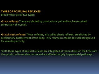 TYPES OF POSTURAL REFLEXES
Broadly they are of two types:
•Static reflexes:These are elicited by gravitational pull and involve sustained
contraction of muscles.
•Statokinetic reflexes:These reflexes, also called phasic reflexes, are elicited by
acceleratory displacement of the body.They maintain a stable postural background
for voluntary activity.
•Both these types of postural reflexes are integrated at various levels in the CNS from
the spinal cord to cerebral cortex and are affected largely by pyramidal pathways.
 