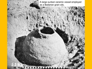 A large sunken ceramic vessel employed
as a Badarian grain silo.
 