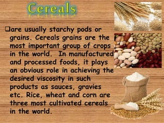 are usually starchy pods or
grains. Cereals grains are the
most important group of crops
in the world. In manufactured
and processed foods, it plays
an obvious role in achieving the
desired viscosity in such
products as sauces, gravies
etc. Rice, wheat and corn are
three most cultivated cereals
in the world.
 