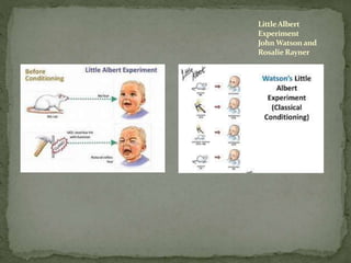 LittleAlbert
Experiment
John Watsonand
RosalieRayner
 