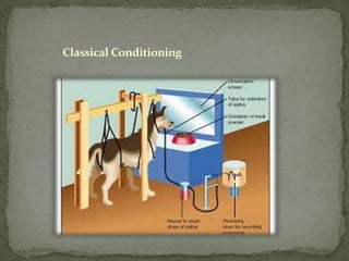 Classical Conditioning
 