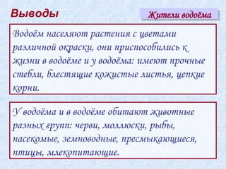 Выводы                       Жители водоёма
Водоём населяют растения с цветами
различной окраски, они приспособились к
жизни в водоёме и у водоёма: имеют прочные
стебли, блестящие кожистые листья, цепкие
корни.

У водоёма и в водоёме обитают животные
разных групп: черви, моллюски, рыбы,
насекомые, земноводные, пресмыкающиеся,
птицы, млекопитающие.