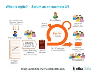 What is Agile? - Scrum as an example 3/3 
The roles of Scrum: 
The Scrum process: 
Image source: http://www.agilebuddha.com/ 
 