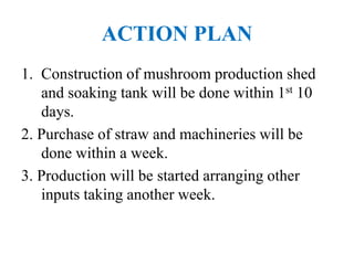 ACTION PLAN
1. Construction of mushroom production shed
and soaking tank will be done within 1st 10
days.
2. Purchase of straw and machineries will be
done within a week.
3. Production will be started arranging other
inputs taking another week.
 