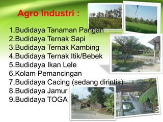 Agro Industri : 
1.Budidaya Tanaman Pangan 
2.Budidaya Ternak Sapi 
3.Budidaya Ternak Kambing 
4.Budidaya Ternak Itik/Bebek 
5.Budidaya Ikan Lele 
6.Kolam Pemancingan 
7.Budidaya Cacing (sedang dirintis) 
8.Budidaya Jamur 
9.Budidaya TOGA 
 