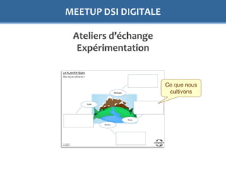 MEETUP DSI DIGITALE
Ateliers d’échange
Expérimentation
Ce que nous
cultivons
 