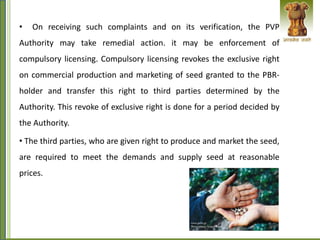 • On receiving such complaints and on its verification, the PVP
Authority may take remedial action. it may be enforcement of
compulsory licensing. Compulsory licensing revokes the exclusive right
on commercial production and marketing of seed granted to the PBR-
holder and transfer this right to third parties determined by the
Authority. This revoke of exclusive right is done for a period decided by
the Authority.
• The third parties, who are given right to produce and market the seed,
are required to meet the demands and supply seed at reasonable
prices.
 