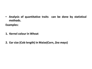 • Analysis of quantitative traits can be done by statistical
methods.
Examples:
1. Kernel colour in Wheat
2. Ear size (Cob length) in Maize(Corn, Zea mays)
 