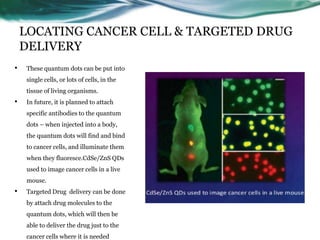 LOCATING CANCER CELL & TARGETED DRUG
DELIVERY
• These quantum dots can be put into
single cells, or lots of cells, in the
tissue of living organisms.
• In future, it is planned to attach
specific antibodies to the quantum
dots – when injected into a body,
the quantum dots will find and bind
to cancer cells, and illuminate them
when they fluoresce.CdSe/ZnS QDs
used to image cancer cells in a live
mouse.
• Targeted Drug delivery can be done
by attach drug molecules to the
quantum dots, which will then be
able to deliver the drug just to the
cancer cells where it is needed
 