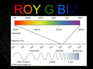 ROY G BIV

 