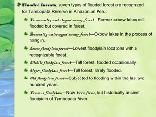 Flooded forests, seven types of flooded forest are recognized 
for Tambopata Reserve in Amazonian Peru: 
Permanently waterlogged swamp forest—Former oxbow lakes still 
flooded but covered in forest. 
Seasonally waterlogged swamp forest—Oxbow lakes in the process of 
filling in. 
Lower floodplain forest—Lowest floodplain locations with a 
recognizable forest. 
Middle floodplain forest—Tall forest, flooded occasionally. 
Upper floodplain forest—Tall forest, rarely flooded. 
Old floodplain forest—Subjected to flooding within the last two 
hundred years. 
Previous floodplain—Now terra firme, but historically ancient 
floodplain of Tambopata River. 
 