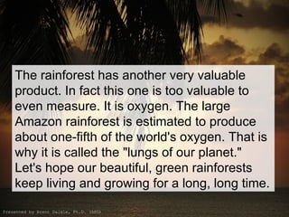 The rainforest has another very valuable product. In fact this one is too valuable to even measure. It is oxygen. The large Amazon rainforest is estimated to produce about one-fifth of the world's oxygen. That is why it is called the &quot;lungs of our planet.&quot; Let's hope our beautiful, green rainforests keep living and growing for a long, long time. Presented by Brent Daigle, Ph.D. (ABD) 