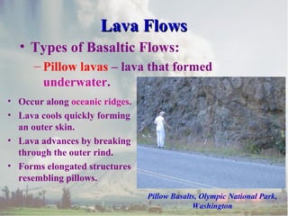 Lava Flows
• Types of Basaltic Flows:
– Pillow lavas – lava that formed
underwater.
• Occur along oceanic ridges.
• Lava cools quickly forming
an outer skin.
• Lava advances by breaking
through the outer rind.
• Forms elongated structures
resembling pillows.
Pillow Basalts, Olympic National Park,
Washington

 