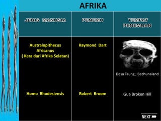 Australopithecus
Africanus
( Kera dari Afrika Selatan)
Homo Rhodesiensis
Raymond Dart
Robert Broom
Desa Taung , Bechunaland
Gua Broken Hill
AFRIKA
 