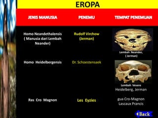 EROPA
Homo Neandethalensis
( Manusia dari Lembah
Neander)
Homo Heidelbergensis
Ras Cro Magnon
Rudolf Virchow
(Jerman)
Dr. Schoestensaek
Les Eyzies
Lembah Neander,
( Jerman)
Lembah Vesere
Heidelberg, Jerman
gua Cro-Magnon
Lascaux Prancis
 