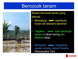 Bercocok tanam
Sistem bercocok tanam yang
dikenal :
• Berladang membuka
hutan utk ditanami tanaman
• Tegalan cara bercocok
tanam di lahan kering dan
sifatnya tetap
• Bersawah mengelola
sawah secara intensif melalui
Pancausaha Tani
kembali
 