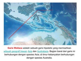 Garis Wallace adalah sebuah garis hipotetis yang memisahkan
wilayah geografi hewan Asia dan Australasia. Bagian barat dari garis ini
berhubungan dengan spesies Asia; di timur kebanyakan berhubungan
dengan spesies Australia.
 