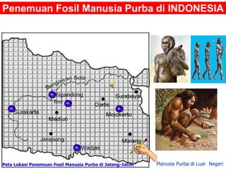 Penemuan Fosil Manusia Purba di INDONESIA
Peta Lokasi Penemuan Fosil Manusia Purba di Jateng-Jatim Manusia Purba di Luar Negeri
 